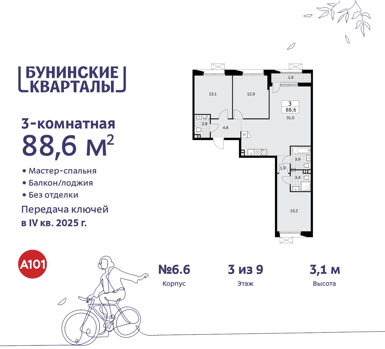  71536260: 3-     ,  