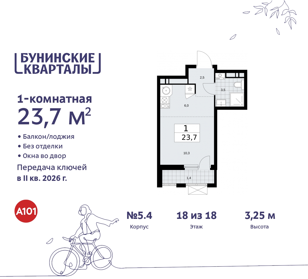  71536389:  1- -  ,  