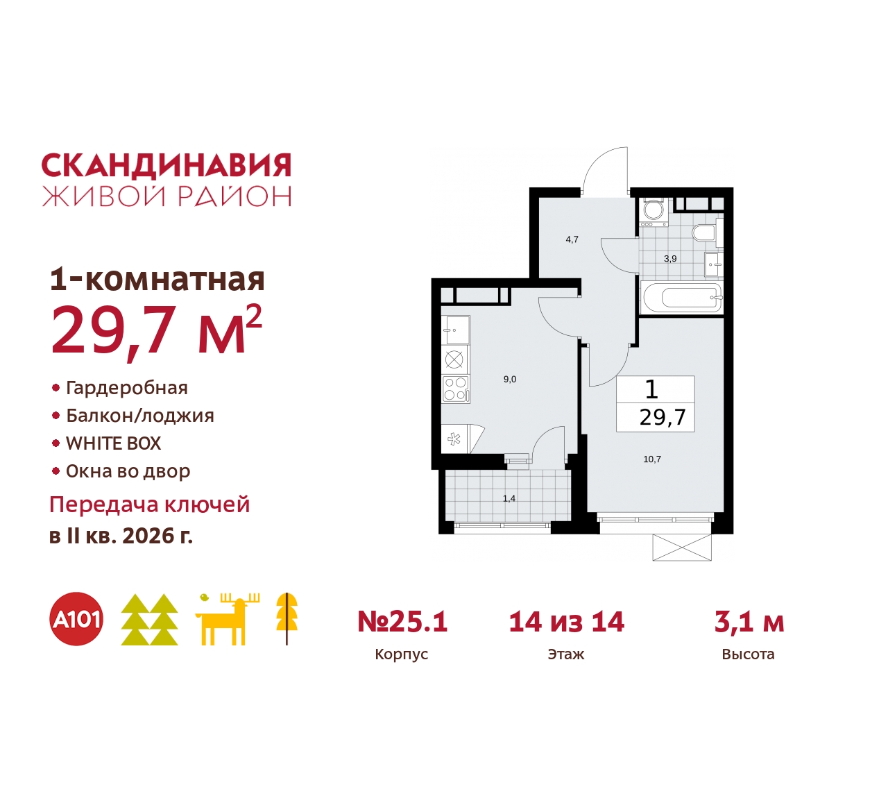 71536304:  1-       ,  
