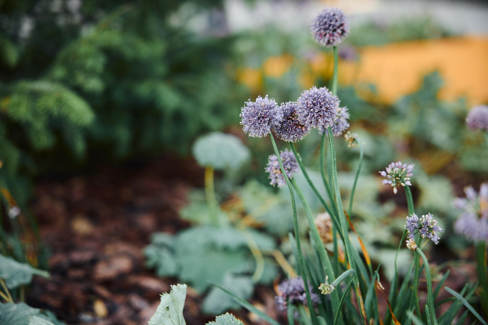 1-комнатная квартира, 42.26 кв.м, ЖК "Беринг", изображение-12