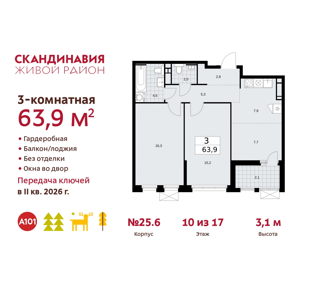  71536331:  3-       ,  