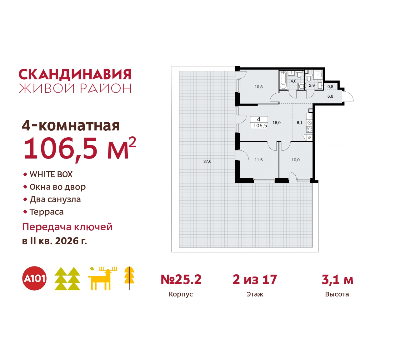  71537310:   4-.           ,  