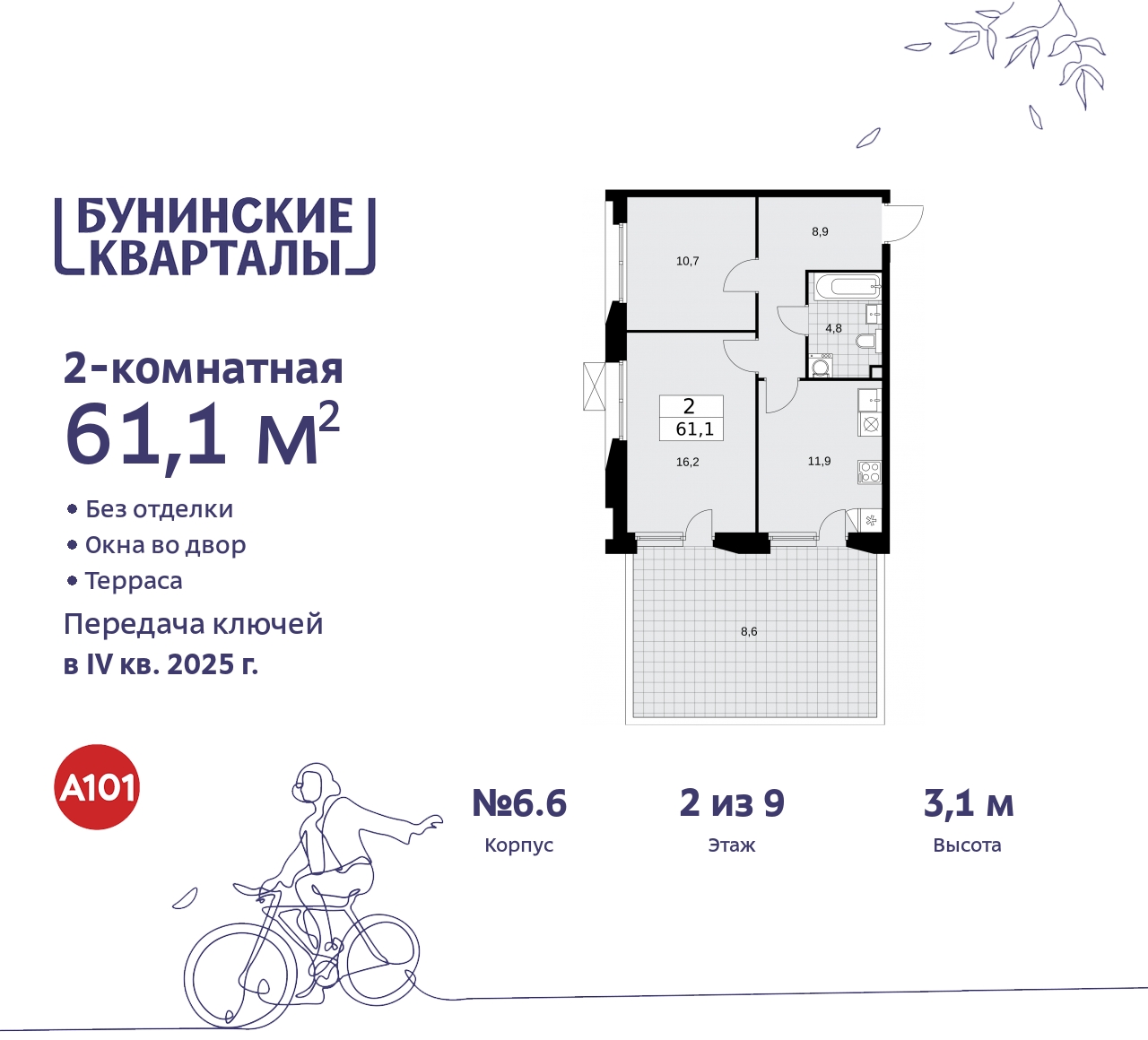  71538544:  2-       ,  