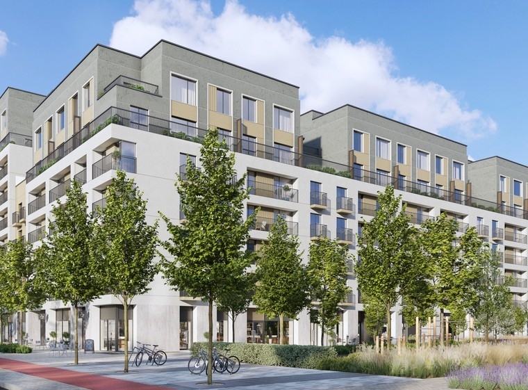 Брусника в Академическом 3